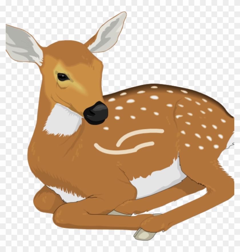 Baby Deer Clip Art Resting Ba Deer Clip Art At Clker - Fawn Clipart #1344170