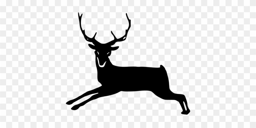 Reindeer Elk Black And White White-tailed Deer - Clip Art #1344182