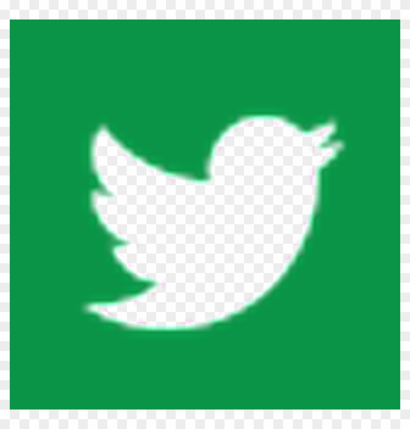 Follow The Shamrocks - Green Twitter Logo Png #1344203