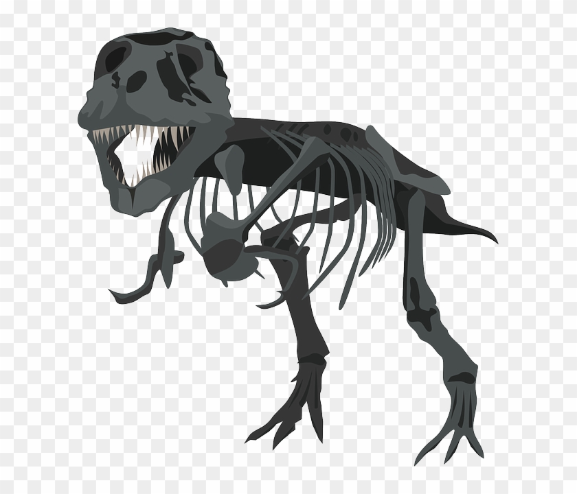 Free Photo Carnivore Skeleton Dinosaur Tyrannosaurus - T Rex Skeleton Png #1344247