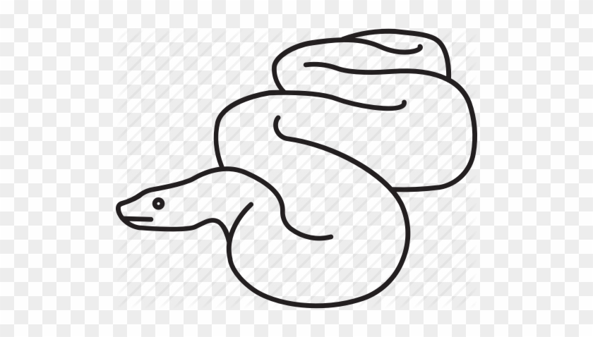 Clip Art Download Reptiles - Anaconda Outline #1344251