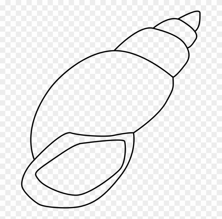 Seashell Drawing Gastropod Shell Black And White Mollusc - Outline Of A Shell #1344259