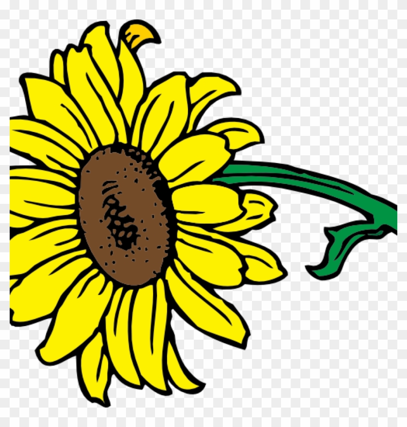Sunflower Clipart Free Sunflower Clipart At Getdrawings - Helle Sonnenblume Mit Blätter Kissen #1344361