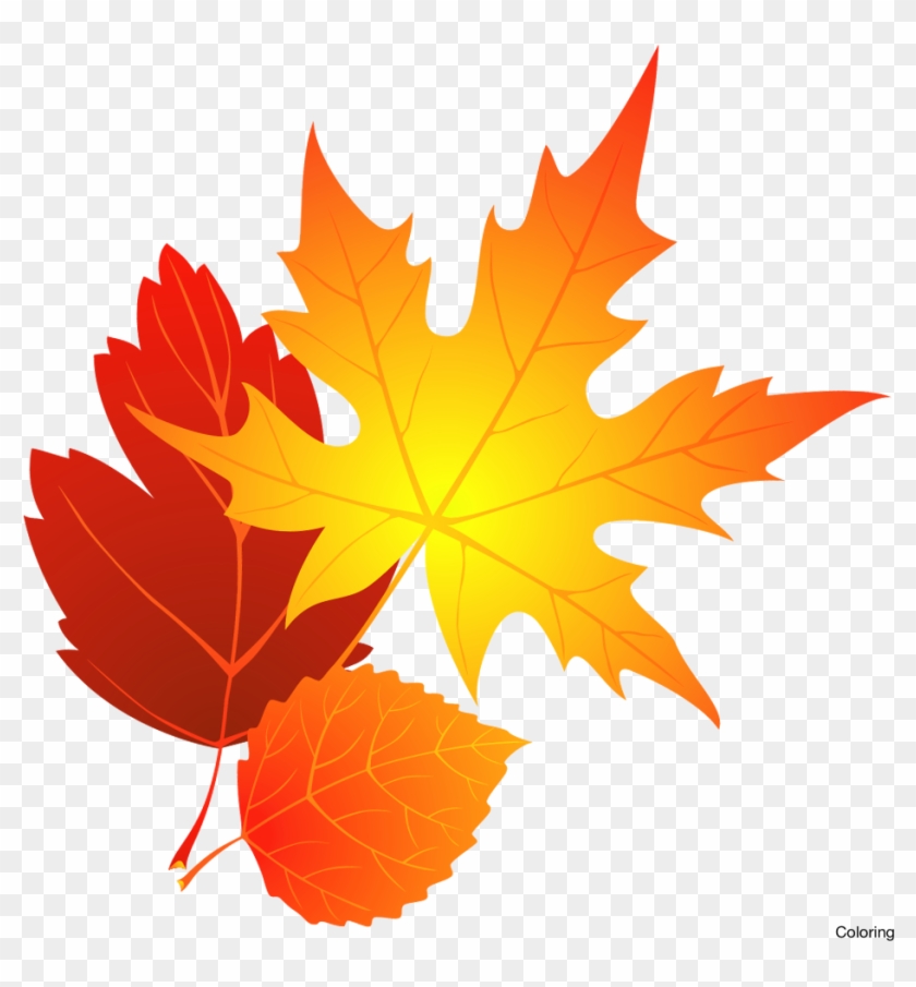 Foliage Clipart Free Fall - Transparent Background Fall Leaves Clipart #1344930