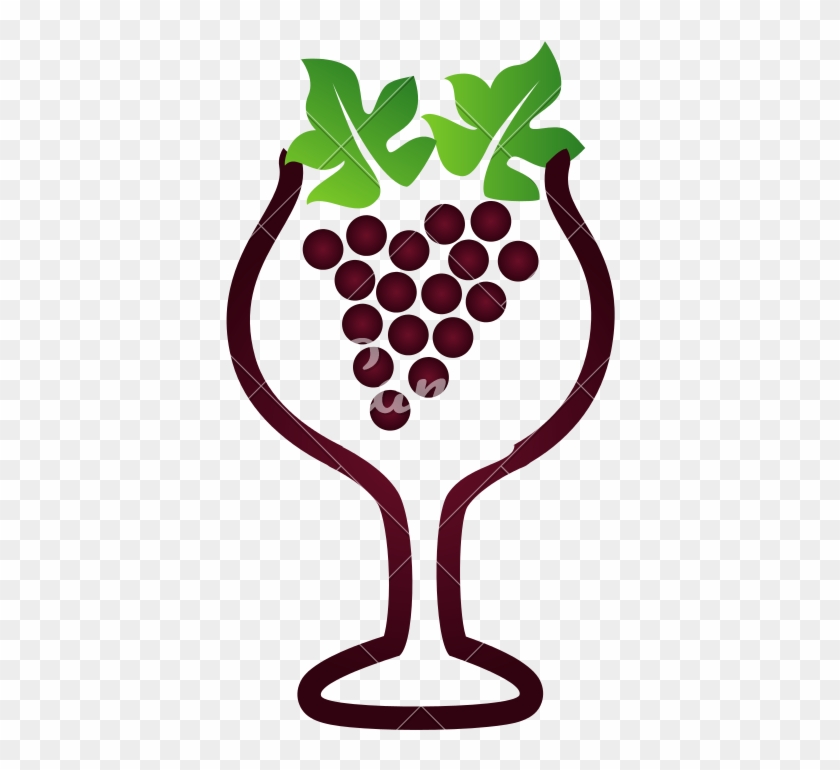 Grape Wine Concept - Grape Wine Concept #1345159