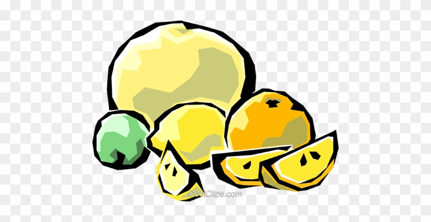 Citrus Fruits Royalty Free Vector Clip Art Illustration - Citrus #1345214