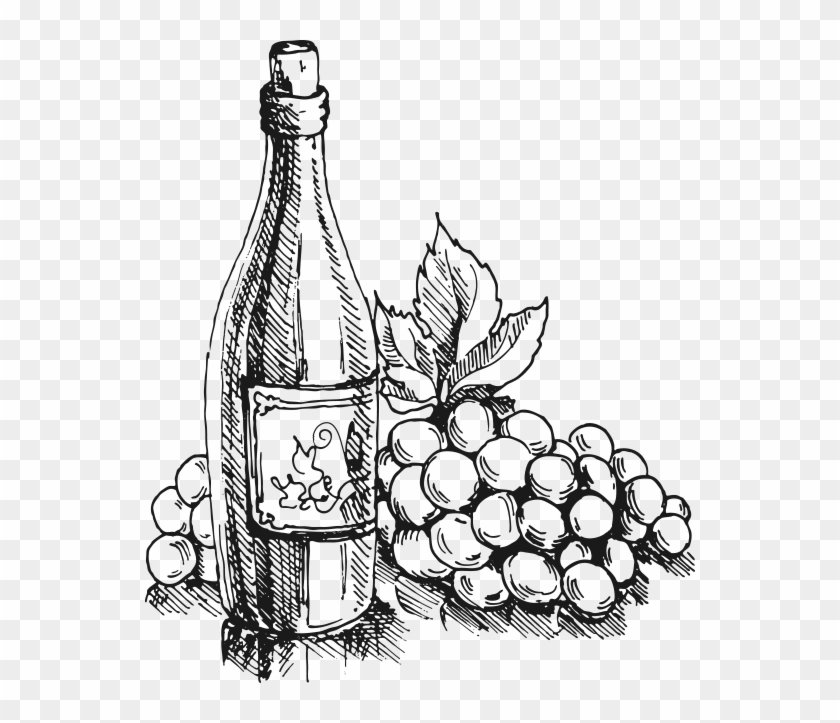 Contactimage - Wine Bottle Png Drawing #1345343