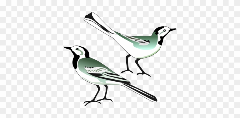 Bird Nest White Wagtail Computer Icons Drawing - Klip Art Burung #1345406