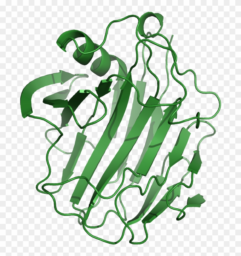 File - 1nlrribbon - Cellulase: Production, Applications And Health Benefits #1345718