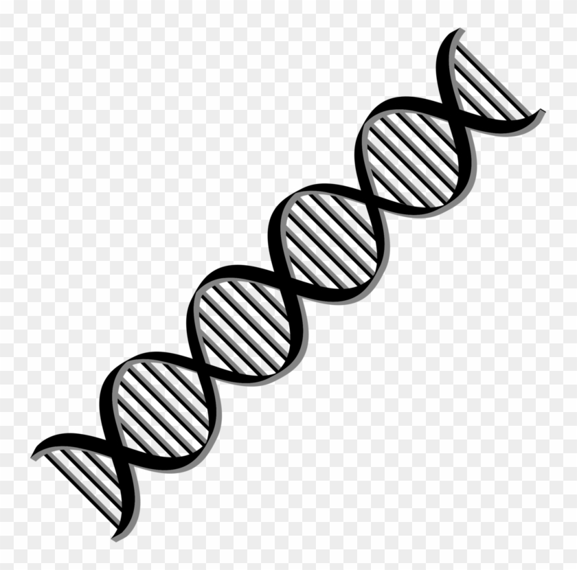 Dna Nucleic Acid Double Helix Computer Icons Cell - Dna Png #1345815