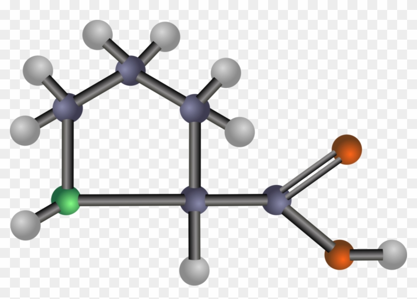 Arginine Amino Acid Amine Proline - Amino Acids: Biochemistry And Applications #1345817