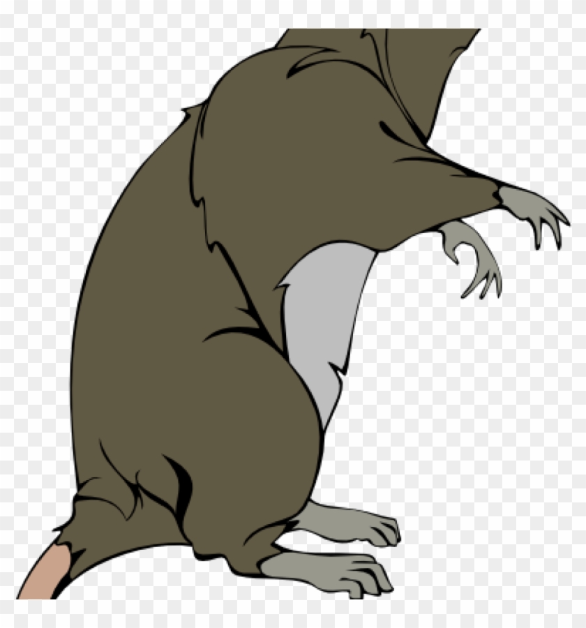 Rat Clipart Rat Clip Art Free Clipart Panda Free Clipart - Clipart Dead Rats Transparent #1345827