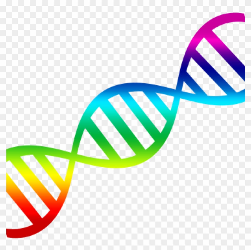 Dna Clip Art Dna Clipart 15 Clip Arts For Free Download - Clipart Dna Double Helix #1345829