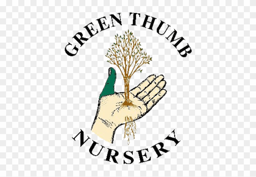Green Thumb Nursery - Green Thumb Nursery #1346184