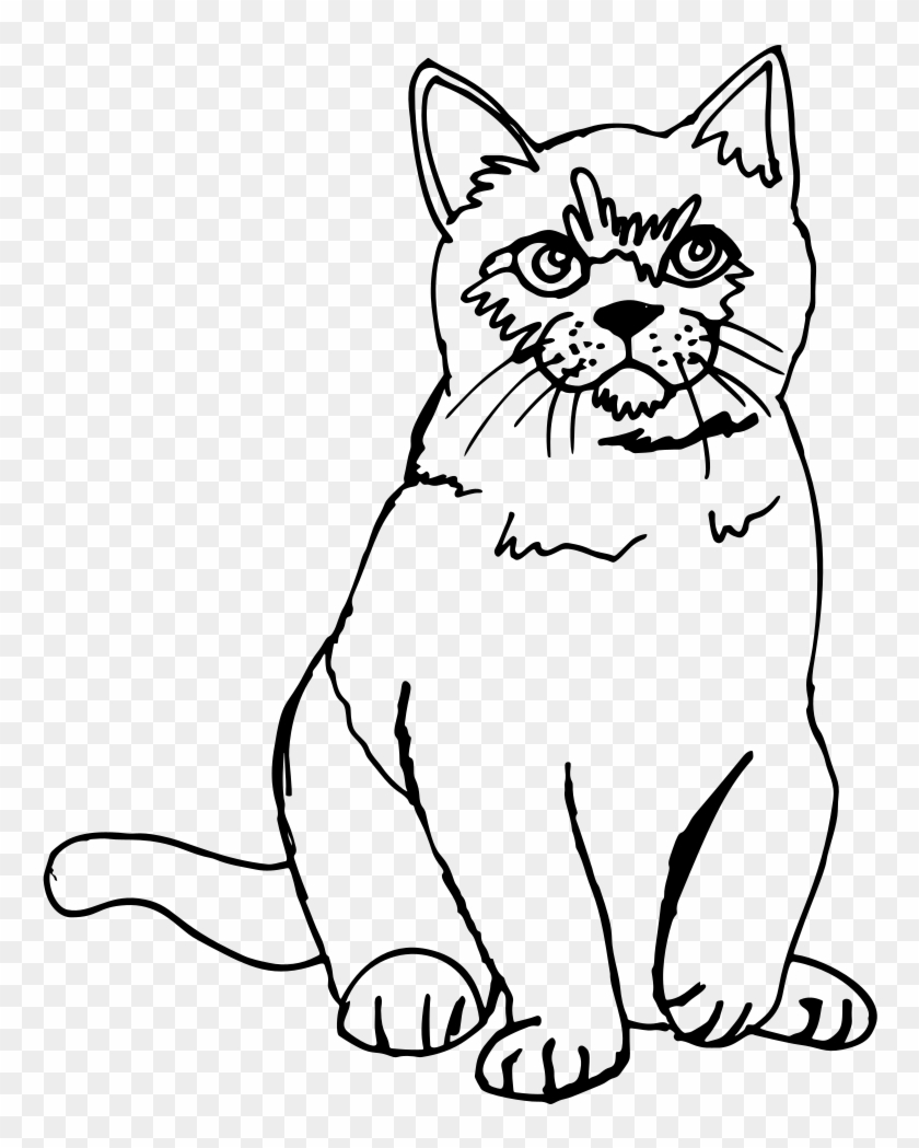 Cat Line Drawing Clip Art - Cat Sketch #1346400
