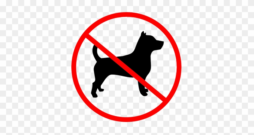 Whilst We Are A Dog Friendly Railway We Regret We Do - No Dogs #1346407