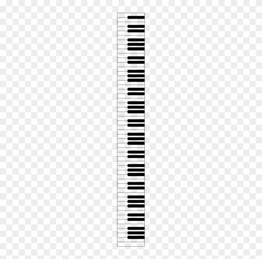 Digital Piano Musical Keyboard Computer Icons Electric - Piano Key Note Flash Cards #1346701
