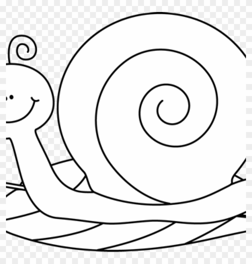 Snail Clipart Snail Clip Art Black And Education Pinterest - Clip Art #1346776