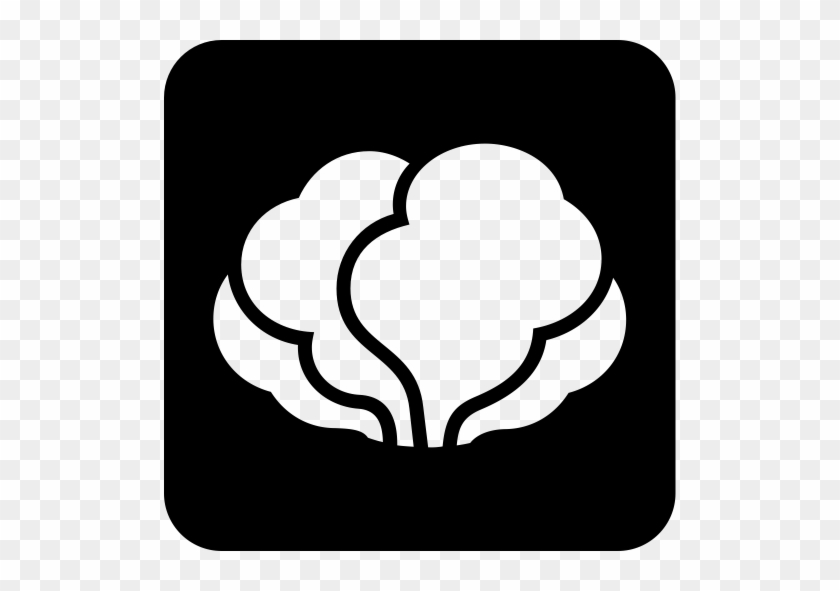 Broccoli, Food, Healthy Food Icon - Clip Art #1346858