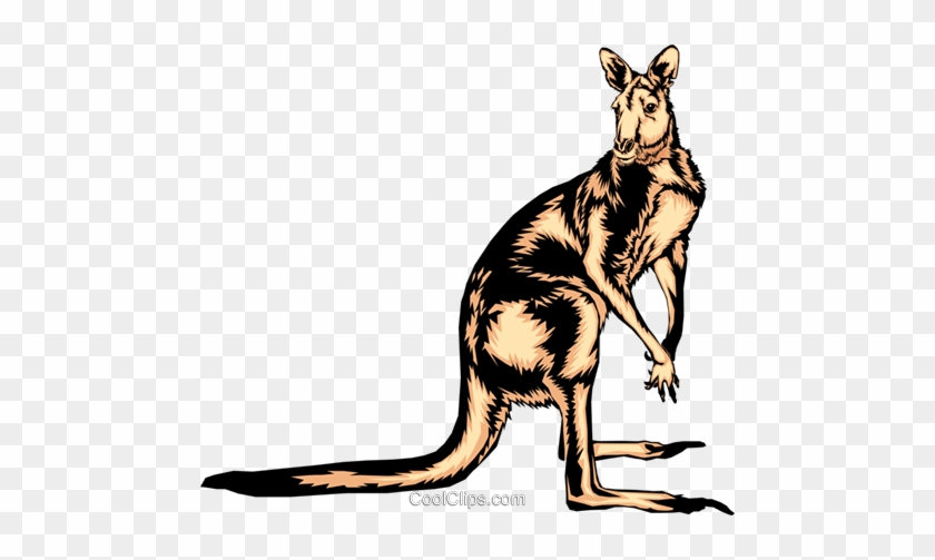 Kangaroo Royalty Free Vector Clip Art Illustration - Potato #1346973