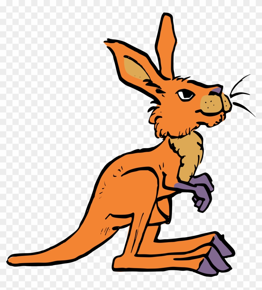 All Photo Png Clipart - Kangaroo #1346979