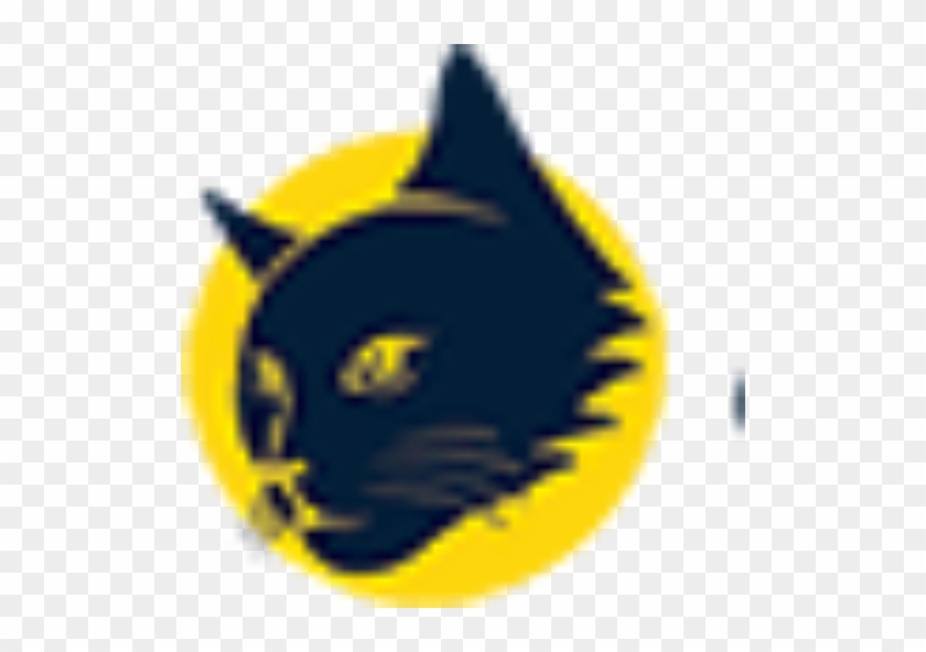 Cat #1347076