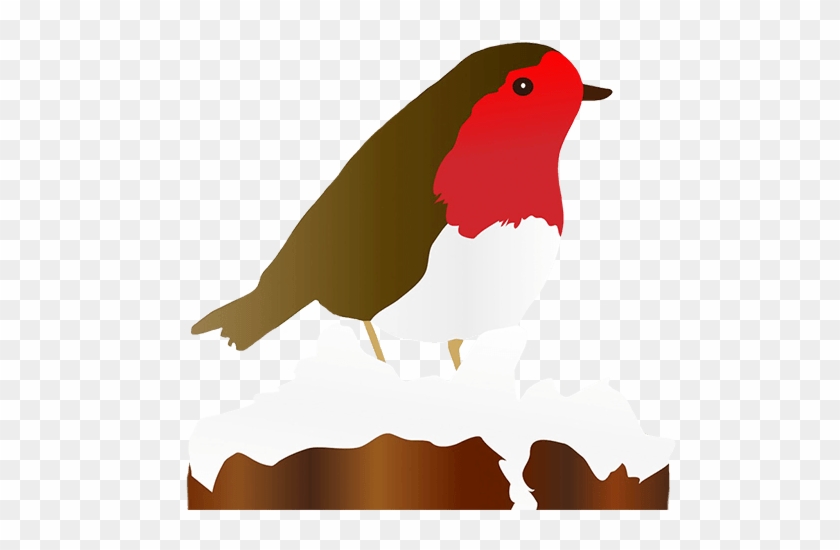 Best Robin Clipart - Christmas Robin Clipart #1347356