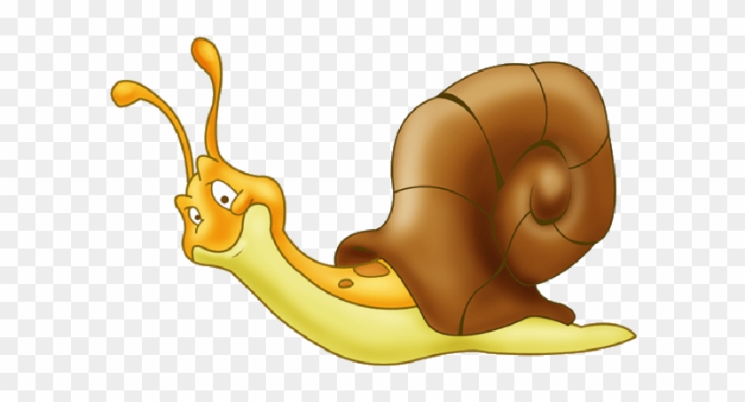 Snail #1347406