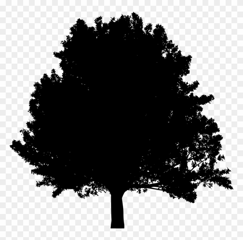 Branch Tree House Oak Ecology - Clip Art #1347427