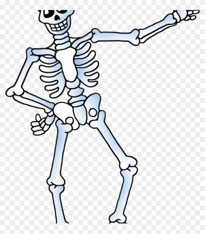 Skelton Clipart Free Skeleton Clipart Public Domain - Free Skeleton Clip Art #1347527