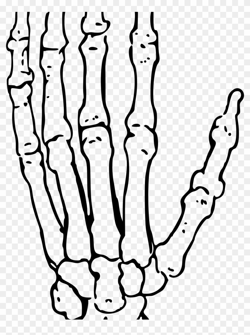 Bone Coloring Page Bone Coloring Page Gorgeous Skeleton - Human Body Skeleton Hand Clip Art #1347547