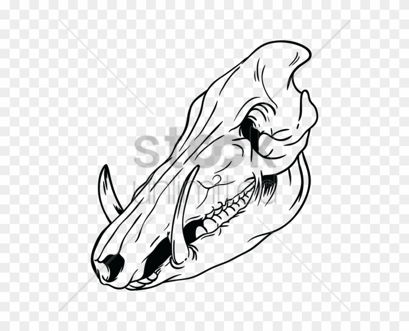 Skull Clipart Hog - Drawing #1347668