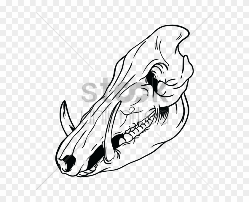Skull Clipart Hog - Drawing - Free Transparent PNG Clipart Images Download