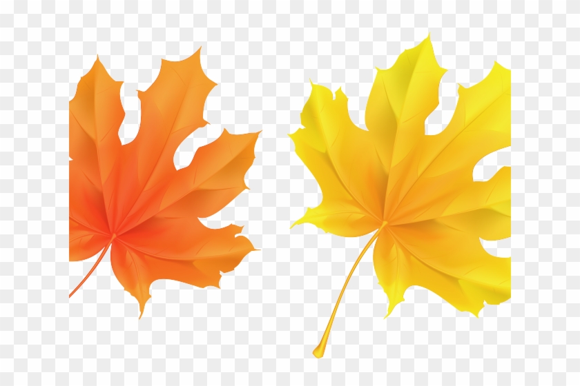 Yellow Flower Clipart Leave Clipart - Fall Leaf Clipart No Background #1347895