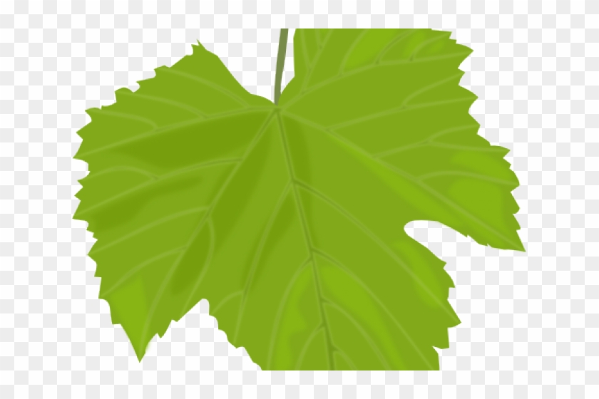 Grape Clipart Leave - Hoja De Parra Dibujo #1347896