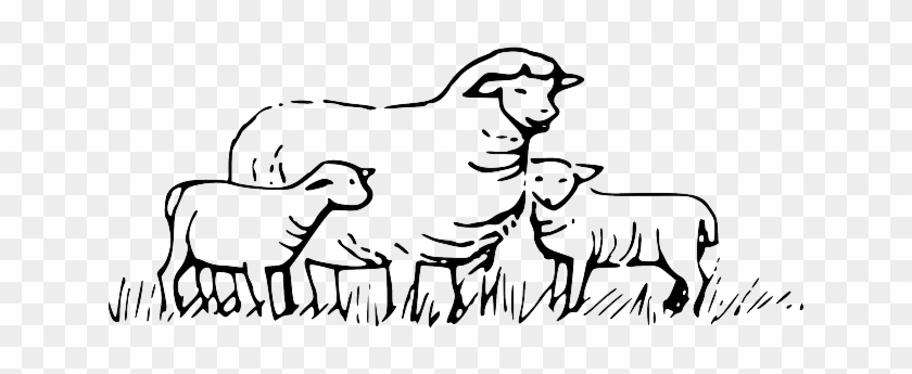 Animals, Field, Barn, Farm, Sheep, Children, Parent - Clipart Black And  White Sheep - Free Transparent PNG Clipart Images Download
