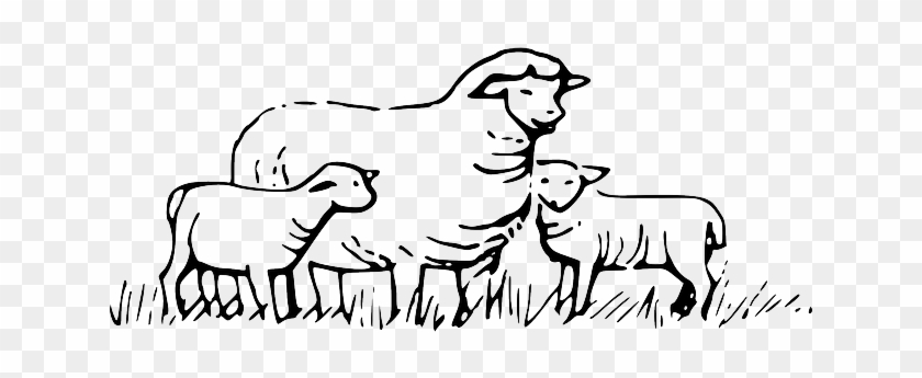 Animals, Field, Barn, Farm, Sheep, Children, Parent - Clipart Black And White Sheep #1347925