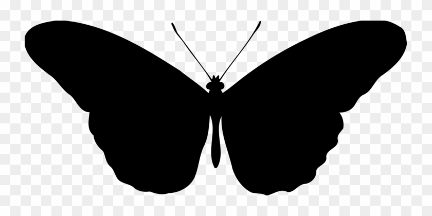 Butterfly Silhouette Drawing Art - Butterfly All Black #1347958