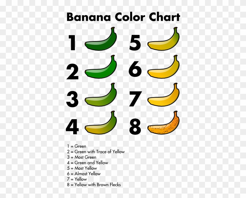 How To Set Use Banan Color Chart Svg Vector - How To Set Use Banan Color Chart Svg Vector #1348017