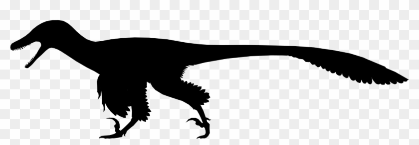 Simple Dinosaur Silhouette - Dromaeosaur Silhouette #1348047