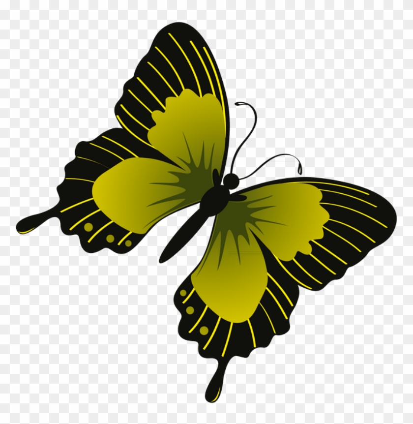 ‿✿⁀butterflies‿✿⁀ Butterfly Clip Art, Butterflies, - Butterfly #1348125