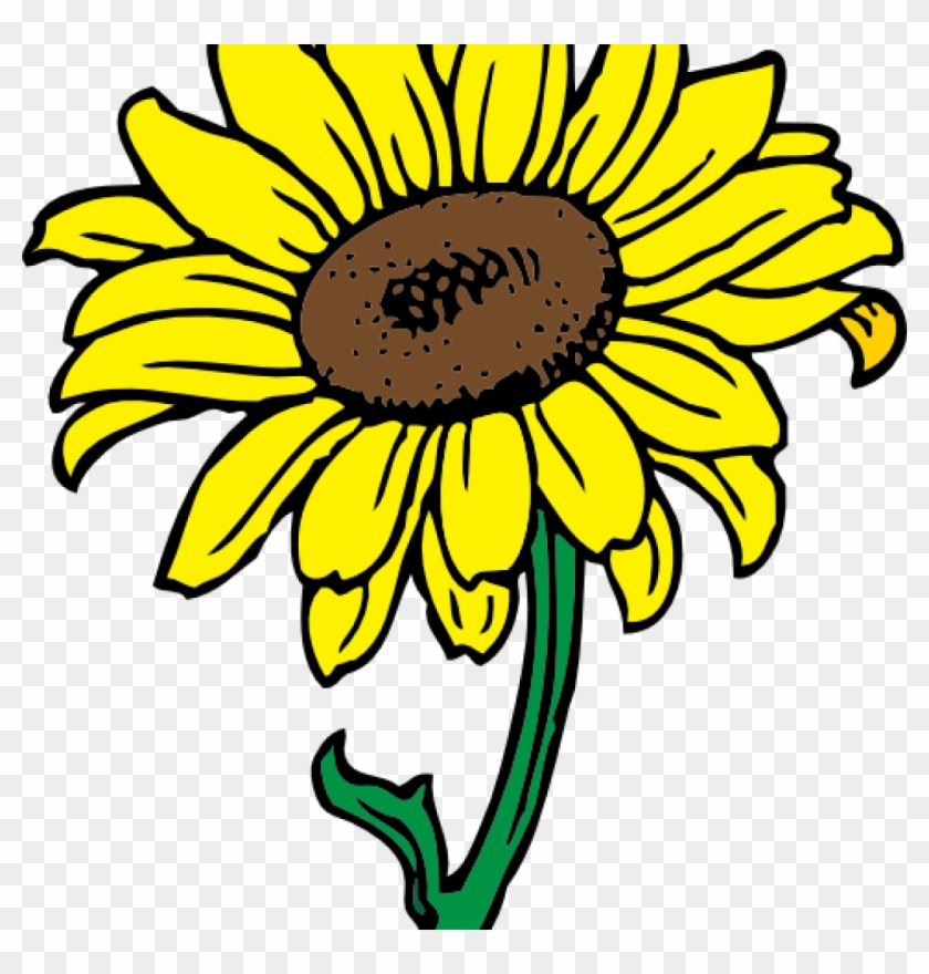 Sunflower Images Clip Art Sunflower Clipart At Getdrawings - Transparent Background Sunflower Clipart #1348128