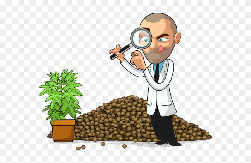 Other Clipart Seed Growth - Growing Cartoon Weed #1348133