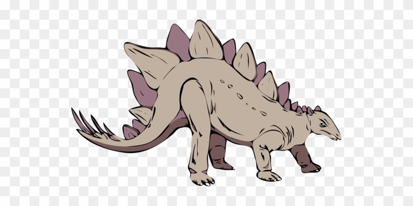 Stegosaurus Tyrannosaurus Dinosaur Drawing Triceratops - Dinosaurio Rex Vector Png #1348176