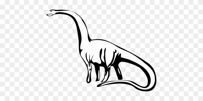 Dinosaur Footprints Reservation Tyrannosaurus Stegosaurus - Dinosaur Black And White Vector #1348183