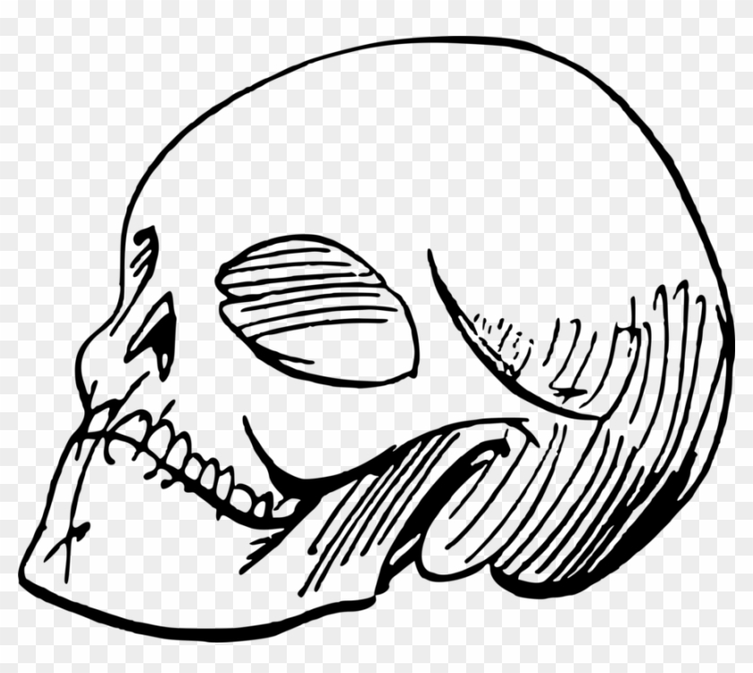 Drawing Line Art Skull Painting Cartoon - Skull Sketch #1348273