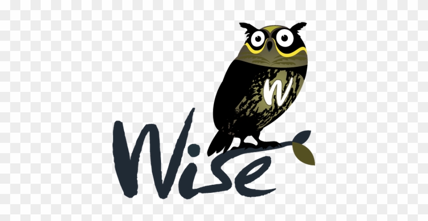 Wise Owl - Wise Png #1348413