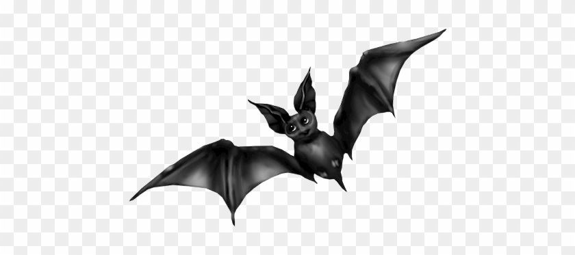 Tube Halloween Chauve Souris - .net #1348521