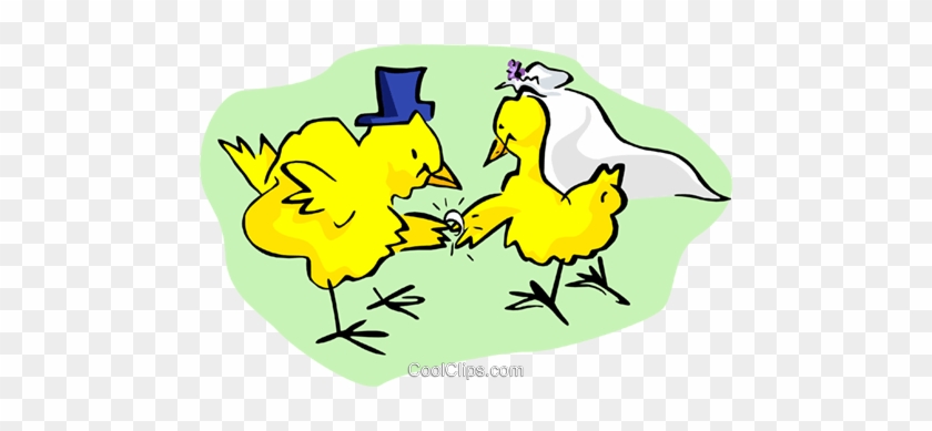 Baby Chicks Exchanging Wedding Rings Royalty Free Vector - Cartoon #1348618