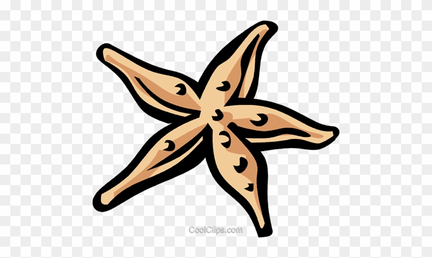 Starfish Royalty Free Vector Clip Art Illustration - Tai Po Old Market Public School #1348673